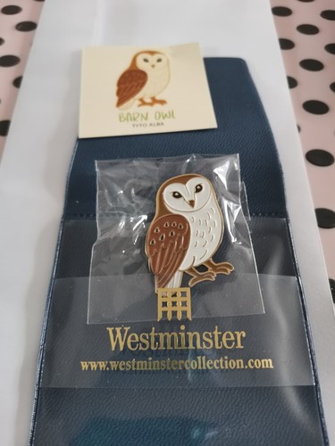 Westminster barn owl - westminster,