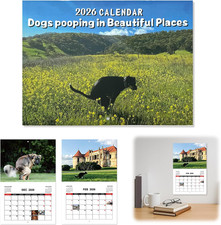 2026 Dogs Pooping in Beautiful