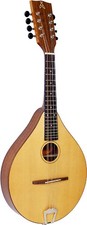 Ashbury STYLE-E MANDOLIN Solid