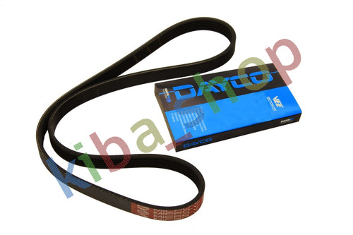 Multi belt 5pk800 - fits, alfa