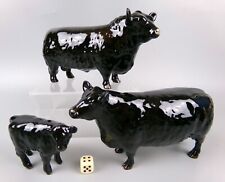 Beswick Cattle Family: Aberdeen Angus Bull, Cow & Calf. Black ceramic figurines.