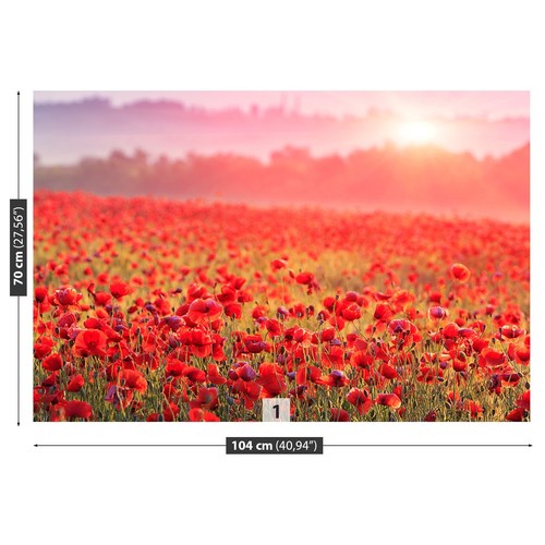 Photo wallpaper wall mural - photo,