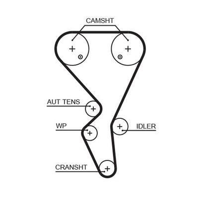 Timing belt for citroen - timing, xsara