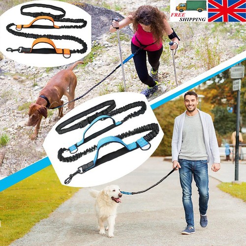 Hands free dog - dog, running