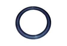 Beetle Headlight Seal & T2