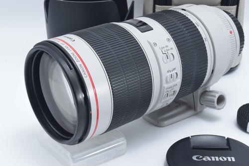 Canon 100 400mm 5 - f/4.5-5.6, l
