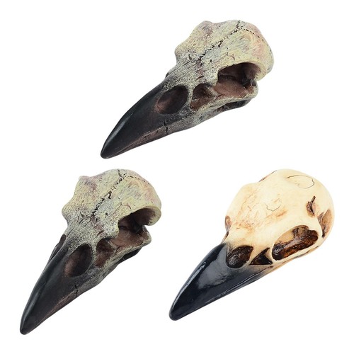 Raven skull decor resin - raven,