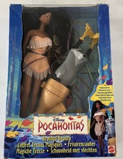 Disney Pocahontas Braided