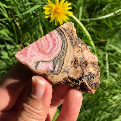 Rhodochrosite slice slab semi - rhodochrosite,
