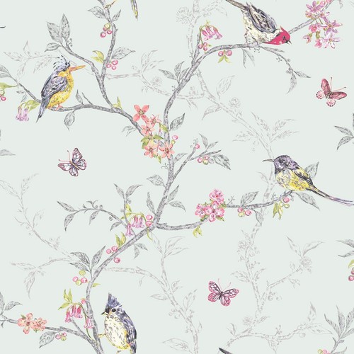 Phoebe birds wallpaper - birds,