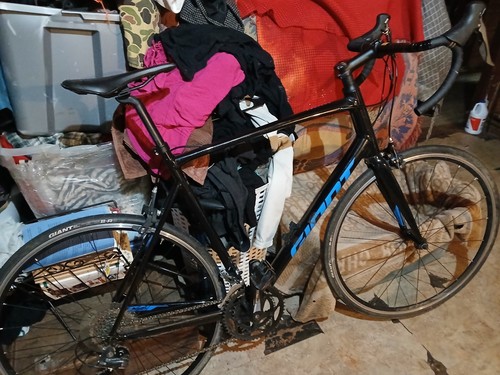 Giant contend 2021 black - giant, w/