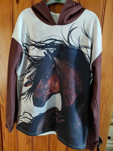 Ladies native american horse - native,