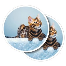 2x Vinyl Stickers Cute Bengal