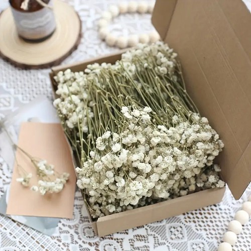 1box dried gypsophila stems - 1box,