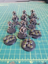 10 Necron Warriors And 3