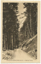 Environs de Peira-Cava (A.M.) - Foret de Turini