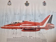 1993 RED ARROWS ROYAL AIR FORCE AEROBATIC TEAM FRAMED PRINT RAF Signed By All