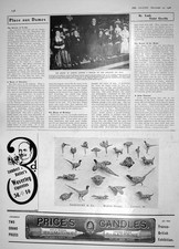 Old Antique Print 1908 Bishop