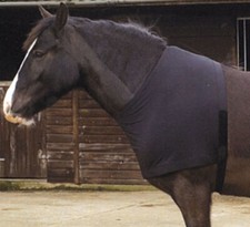 Rhinegold Satin Lycra Horse