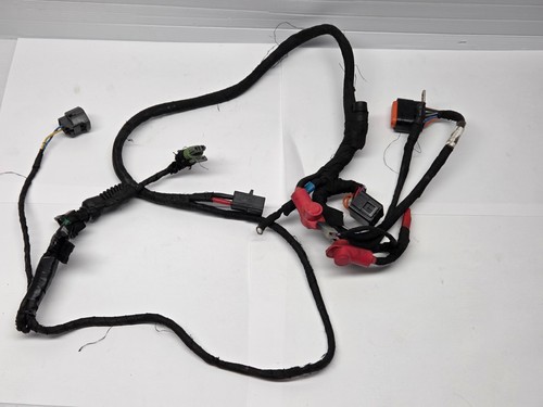 Used rotax evo - evo, loom