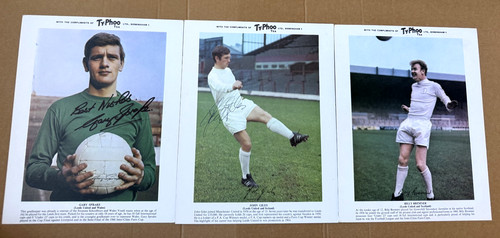Hand signed typhoo - x,