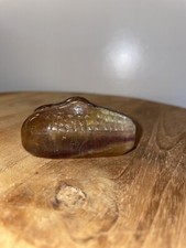 Fluorite Crocodile Alligator Head Carving Polished Mineral Gemstone Rock 