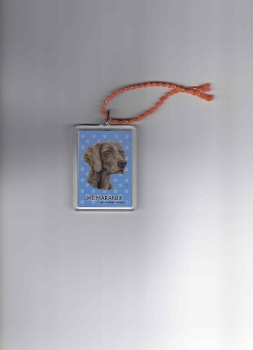 Weimaraner dog acrylic - weimaraner,