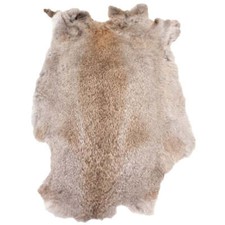 Rabbit fur skin - fur,