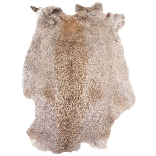 Rabbit fur skin - rabbit,