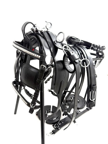 Driving harness shetland - driving,