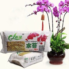 Flower pot - flower, pet