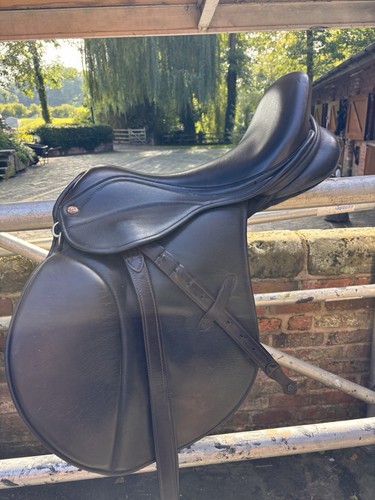 Saddle company havana - company,