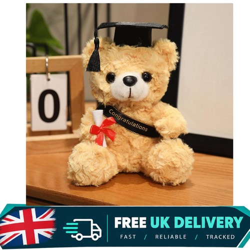 Graduation teddy bear - bear, 7.09in
