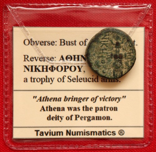 Genuine greek kingdom - greek, of
