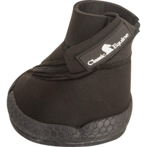Classic equine medicine hoof - equine,
