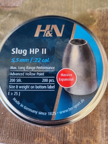 Slug 25gr 22 cal - slug,