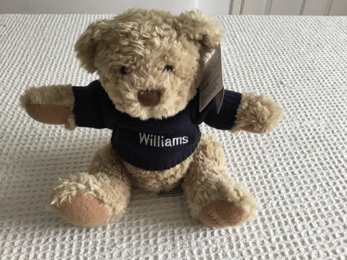 Official williams bmw - williams,