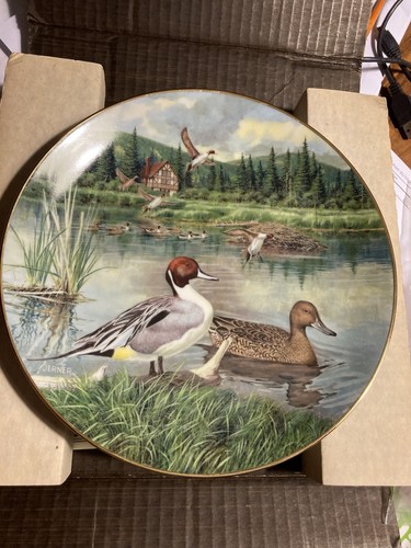 Jerners fine bone china - jerners,