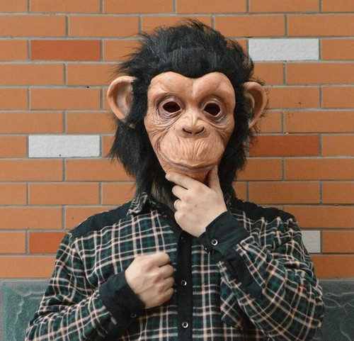 Costume gorilla monkey - monkey, animal