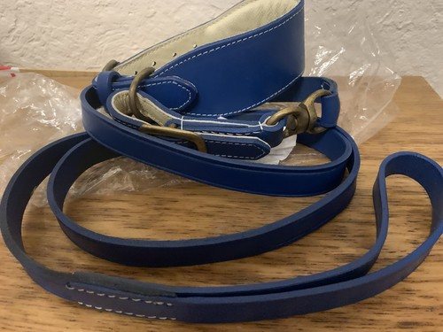 Greyhound leather collar and - greyhound,
