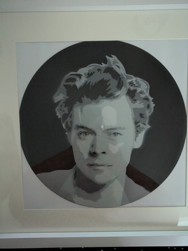 Harry styles excellent - styles,