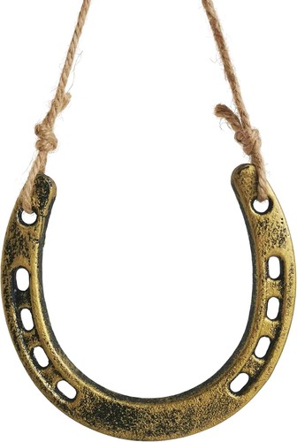 Rustic cast iron horseshoe - iron,