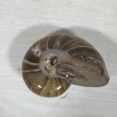Rare natural polished - natural,