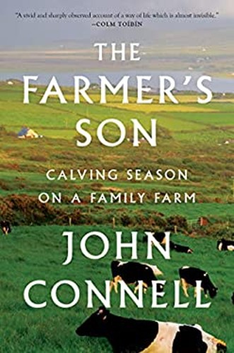 The farmer son calving - the, :