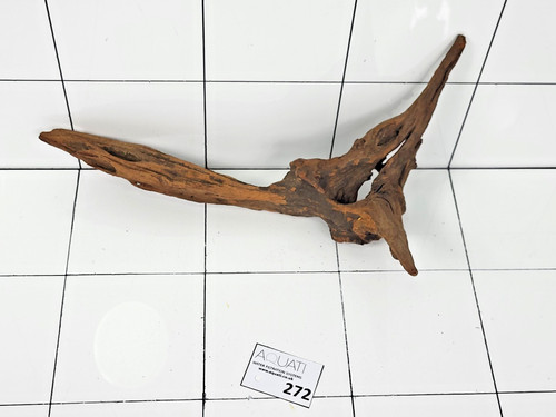 Aquarium natural wood - aquarium,