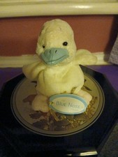 My Blue Nose Friends