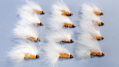 Orange and white cats - 12, x