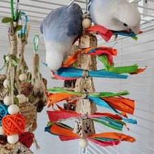 Bird Parrot Toy Large Parrot