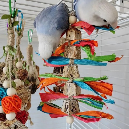 Bird parrot toy large - parrot,