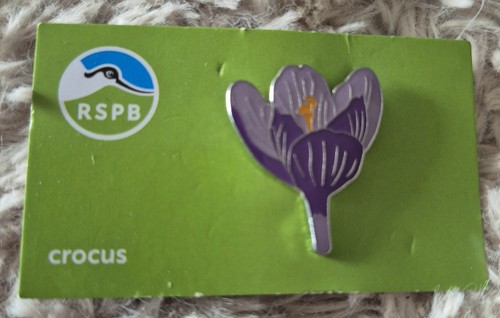 Rspb bird pin - bird, badge